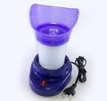 The Steam Facial – Steamer & Inhaler